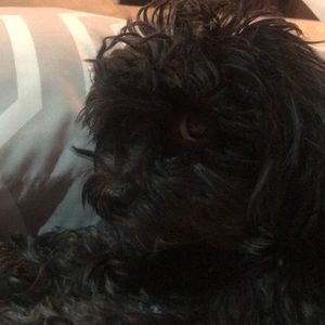 Meet your Posher, Nick